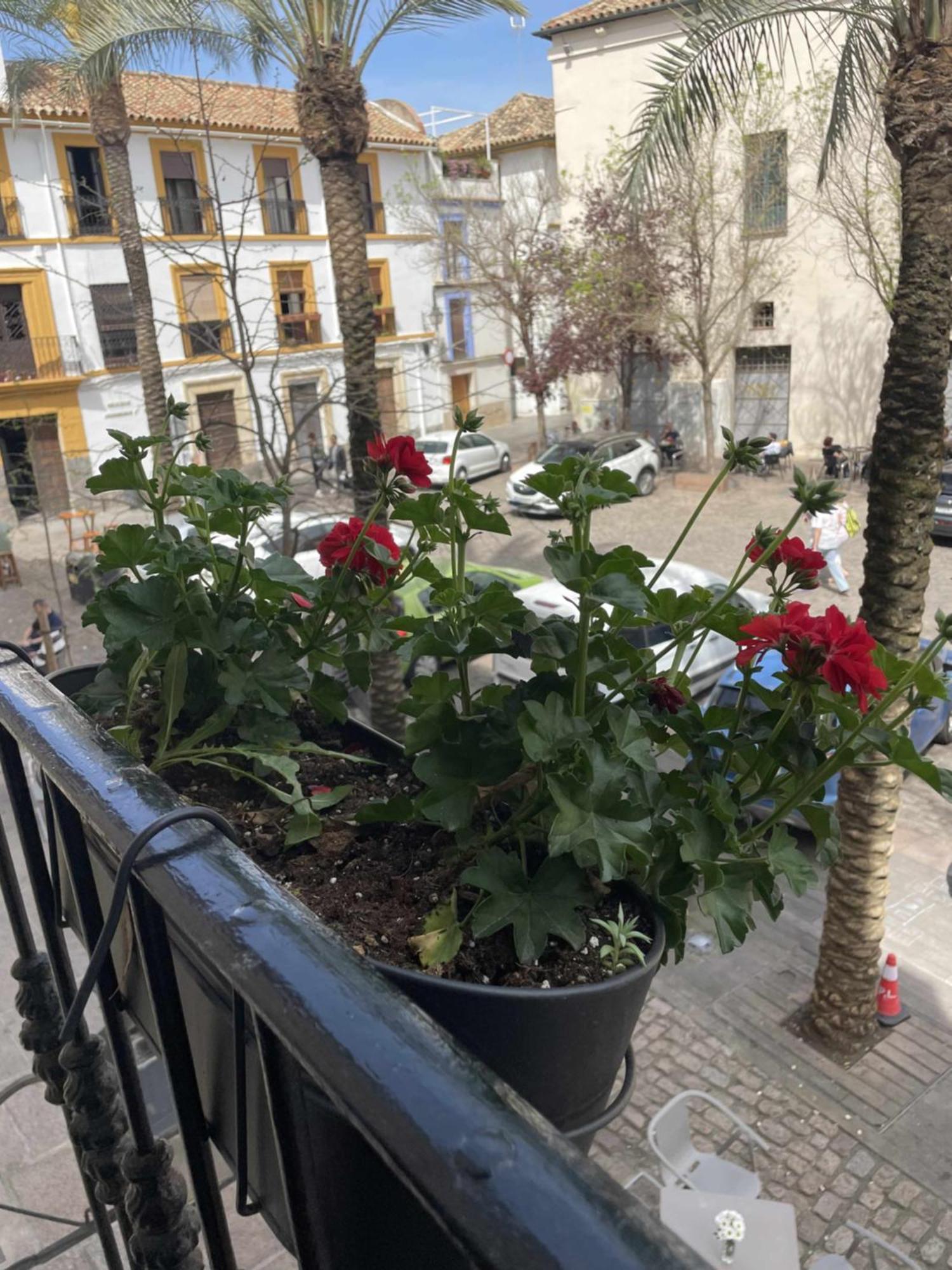 Apartamento Centrico Corredera Cordoue Extérieur photo